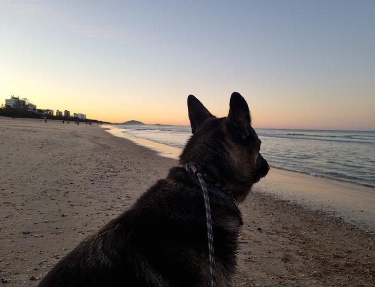 Alexandra Headland, Queensland