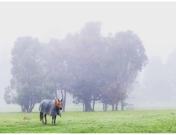 Gidgegannup, Western Australia