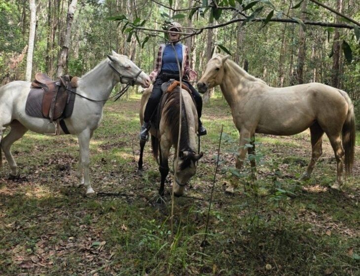 Belli Park, Queensland