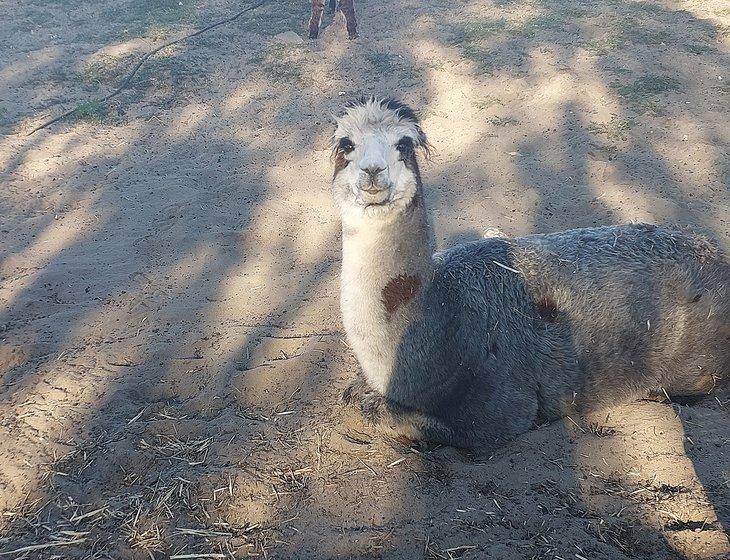 Wellard, Western Australia