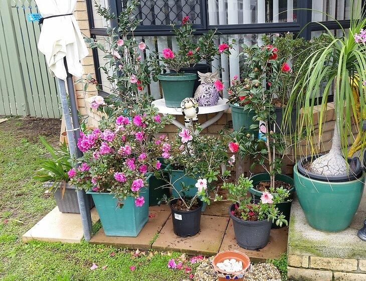 Fitzgibbon, Queensland
