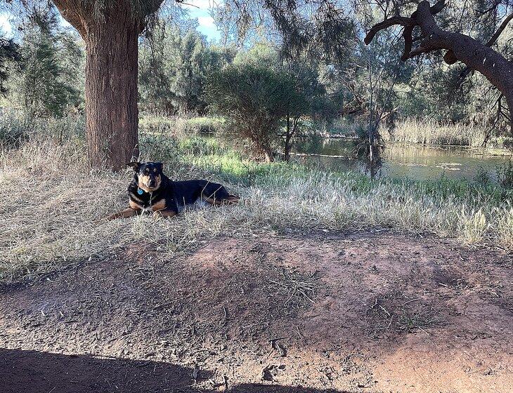 Millbridge, Western Australia