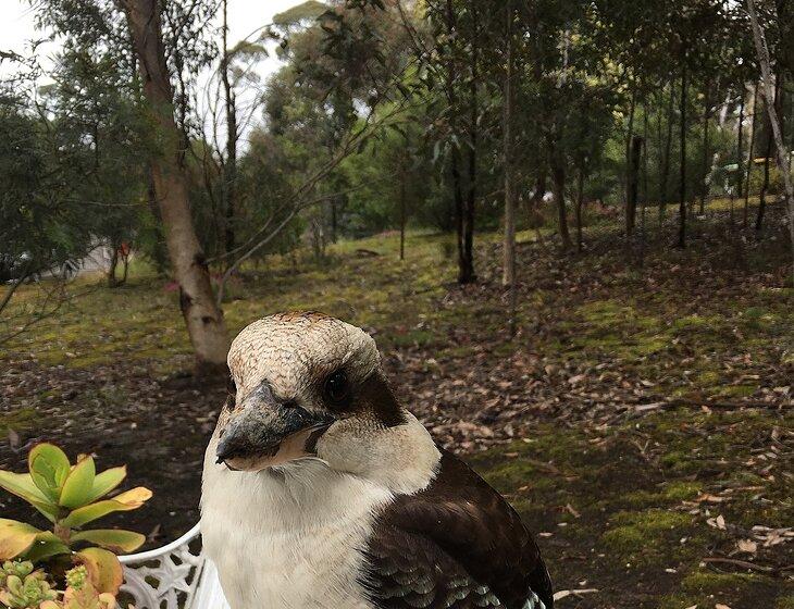 Sunbury, Victoria