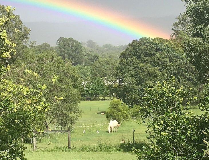 Ninderry, Queensland