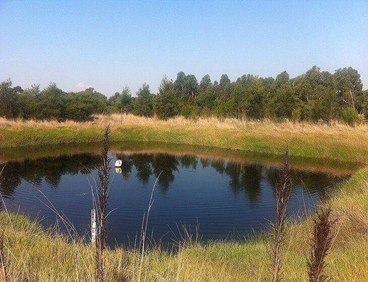 Wattle Bank, Victoria - Image 4