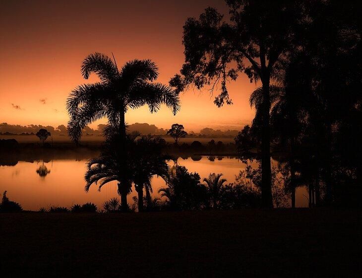 Sharon, Queensland - Image 1