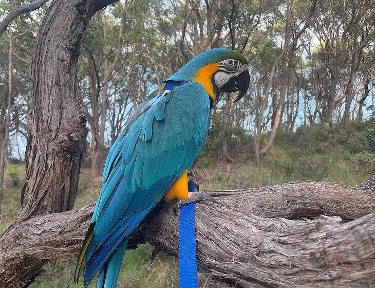 Warners Bay, New South Wales