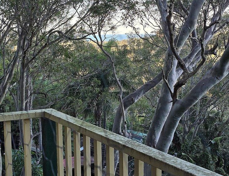 Palm Beach, New South Wales - Image 2