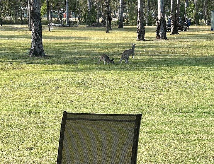 Bouldercombe, Queensland