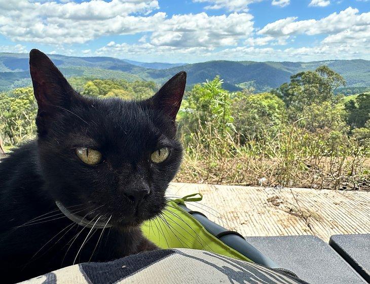 Mount Mee, Queensland