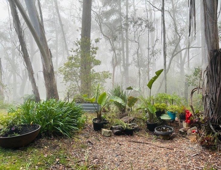 Medlow Bath, New South Wales