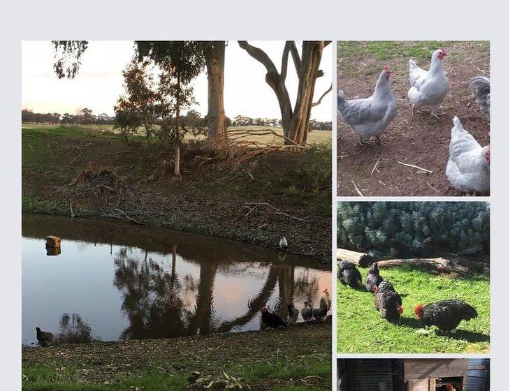 Colbinabbin, Victoria