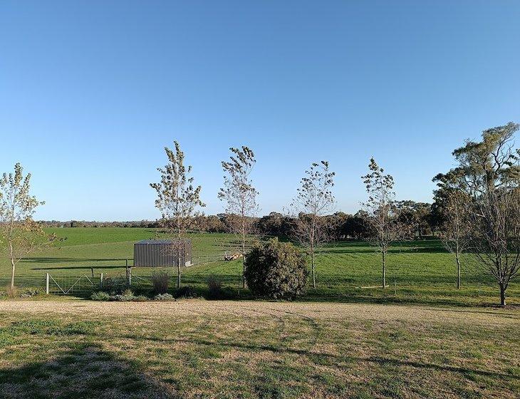 Young, New South Wales