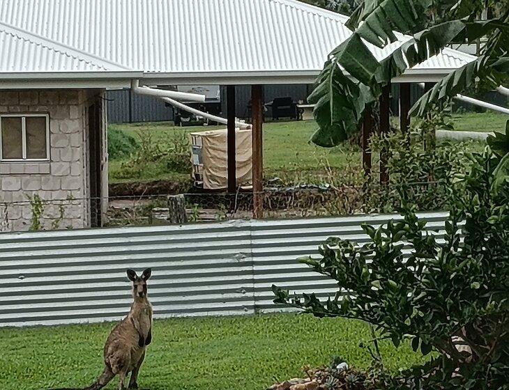 Hervey Bay, Queensland - Image 2