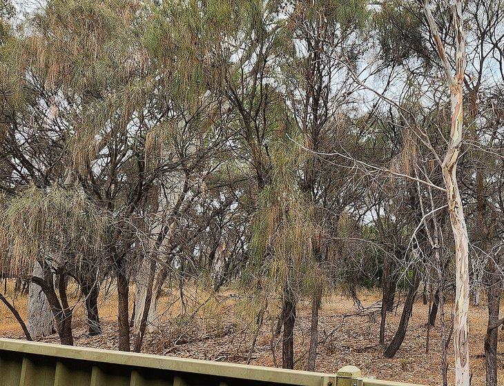 Tea Tree Gully, South Australia