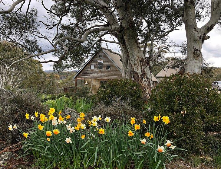 Jindabyne, New South Wales