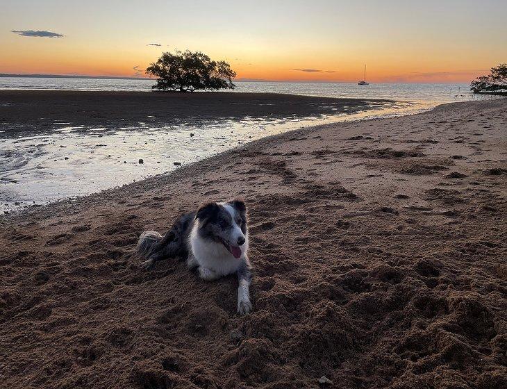 Point Vernon, Hervey Bay, Queensland