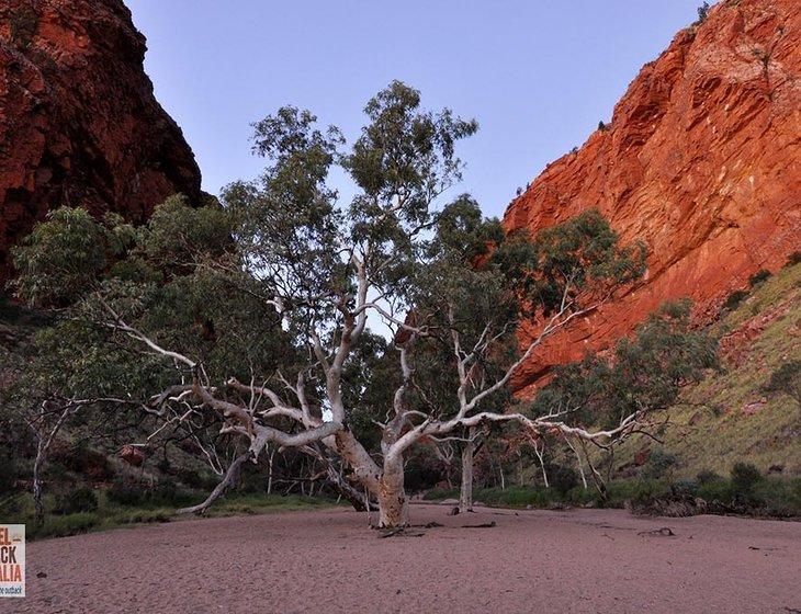 Alice Springs, Northern Territory