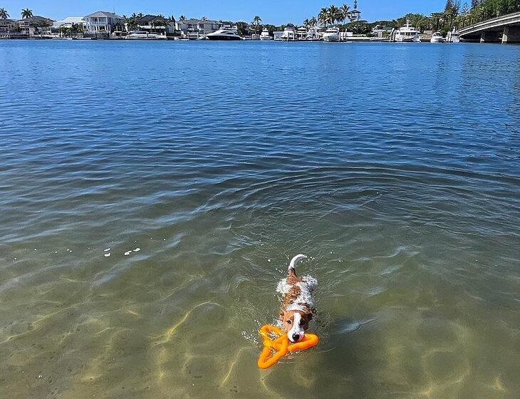 Biggera Waters, Gold Coast, Queensland - Image 3