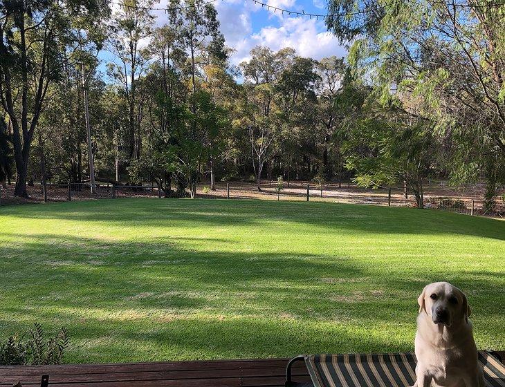 Donnybrook, Western Australia