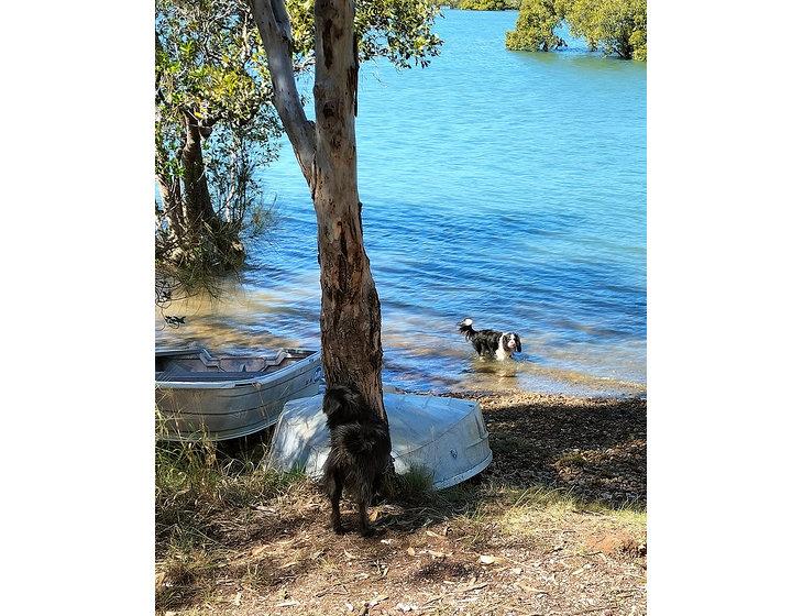 Macleay Island, Queensland