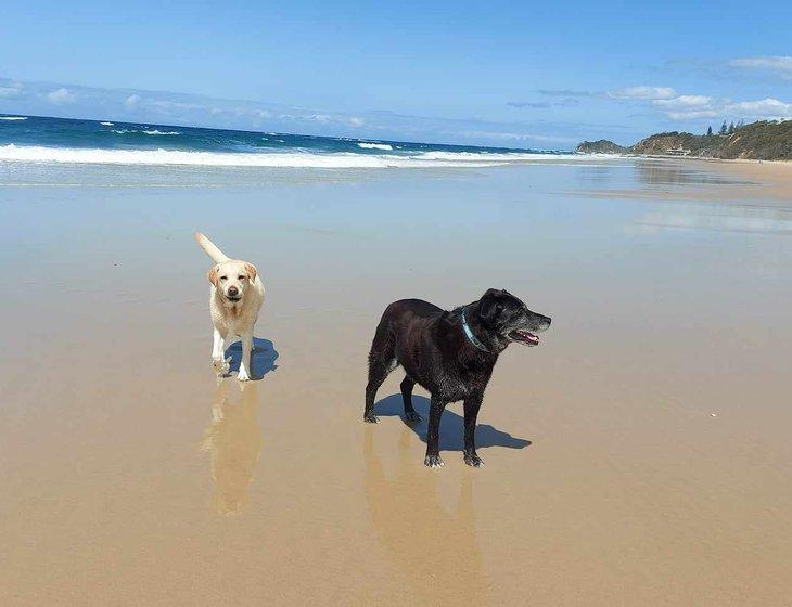 Nambucca Heads, New South Wales