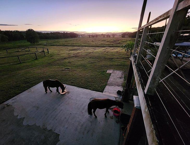 Hampden, Queensland