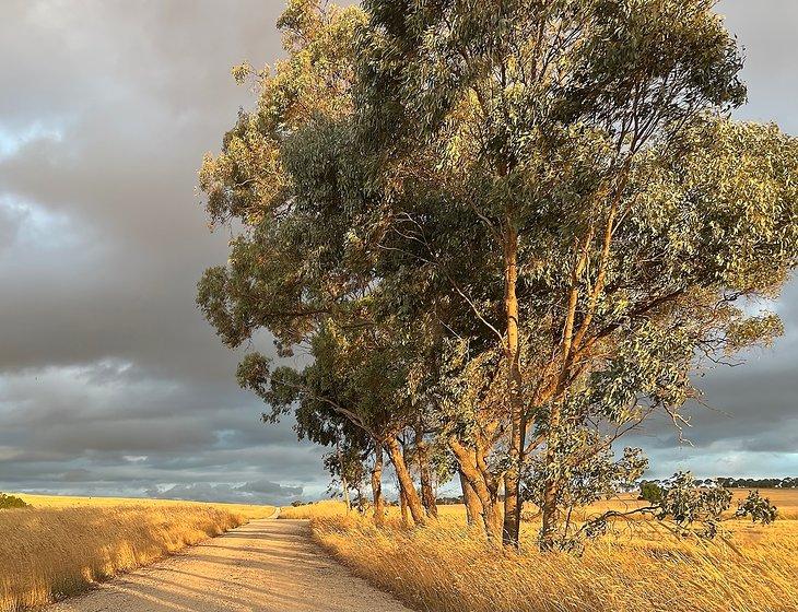 Colbinabbin, Victoria