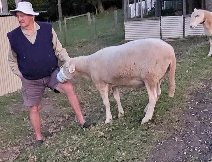 Jamberoo, New South Wales