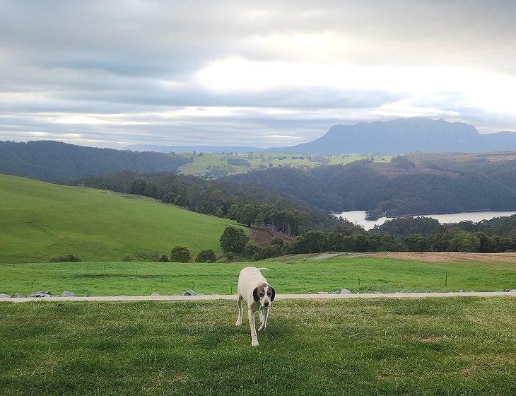 Wilmot, Tasmania