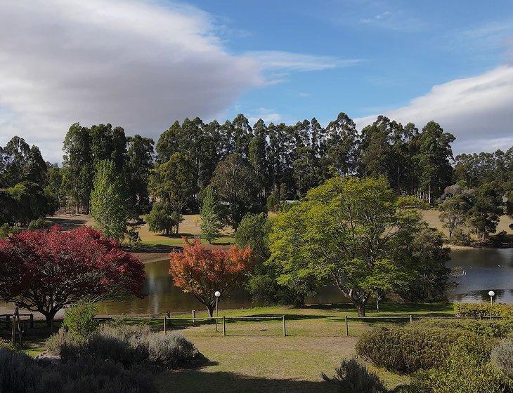 Pemberton, Western Australia