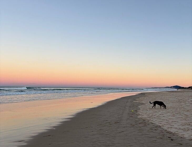 Marcus Beach, Queensland - Image 1