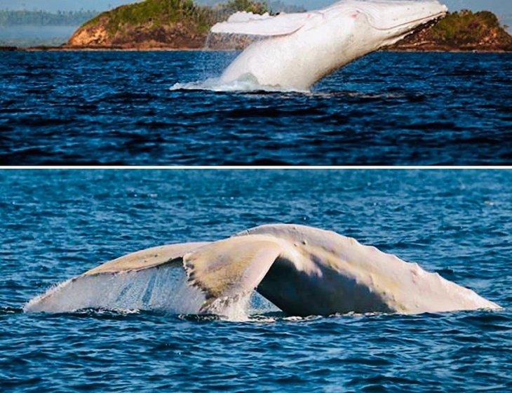 Charlotte Bay, New South Wales