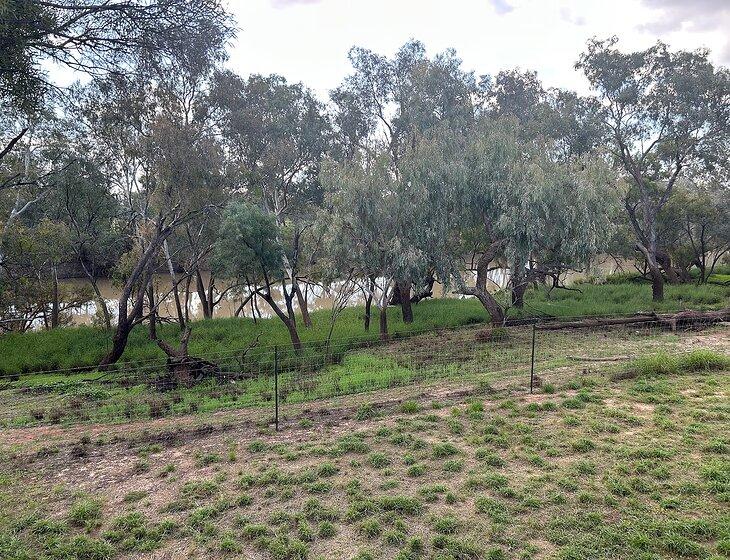 Cunnamulla, Queensland
