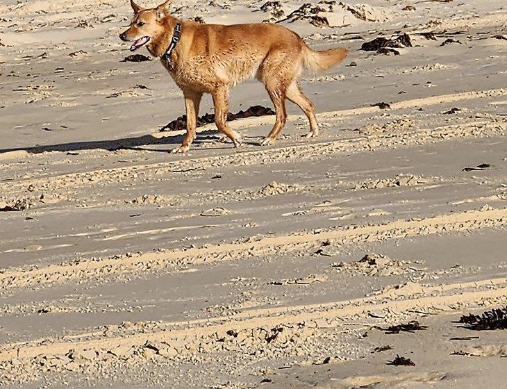 Nambucca Heads, New South Wales