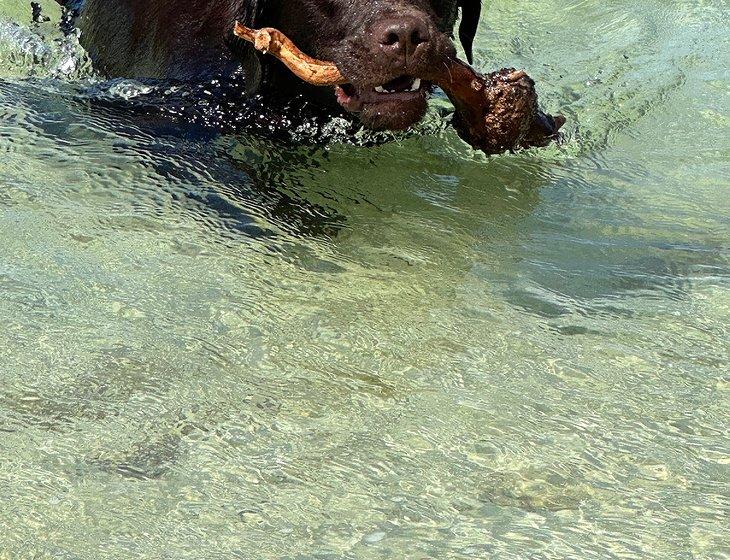 Tapping, Western Australia