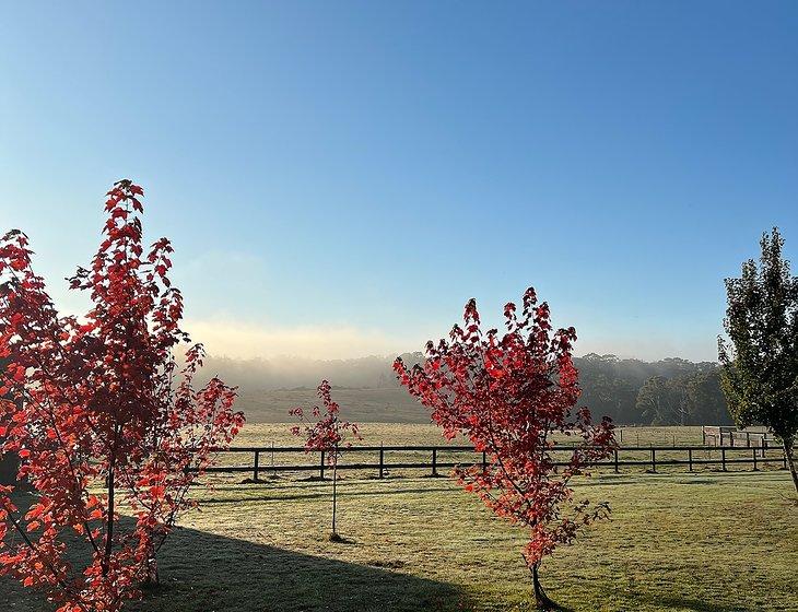 Ashbourne, Victoria