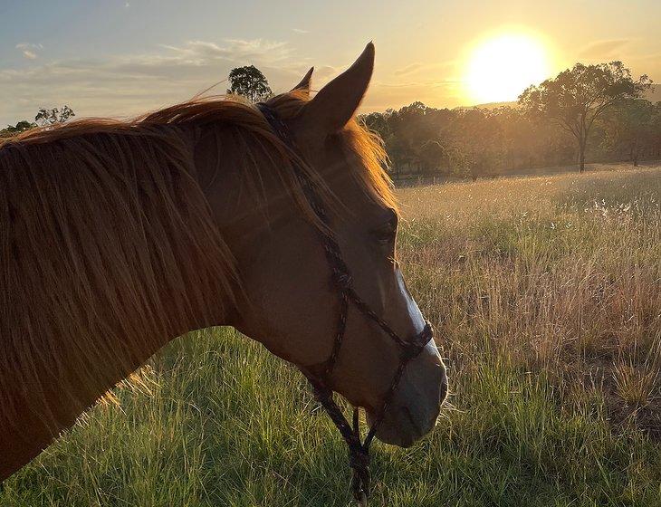 Oakview, Queensland