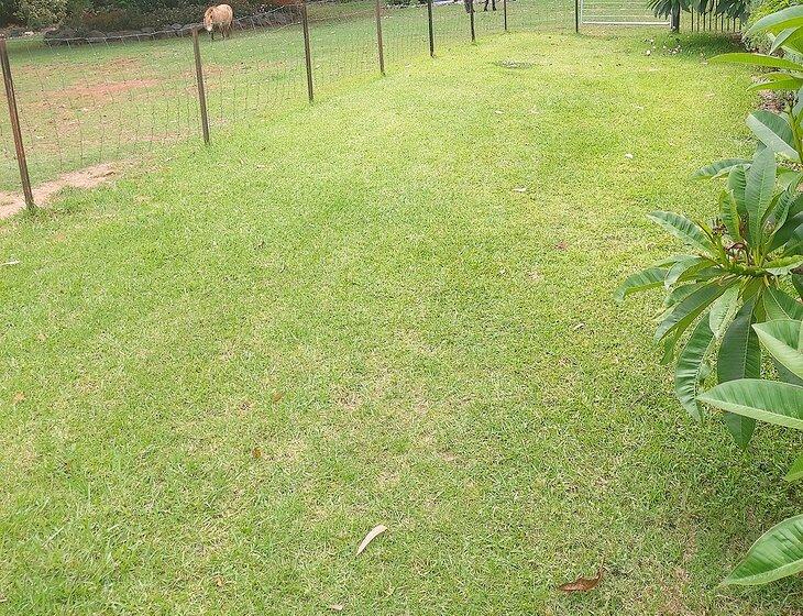 Wauchope, New South Wales