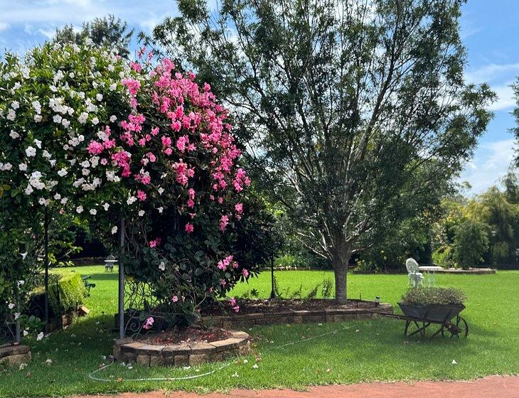 Highfields/toowoomba, Queensland