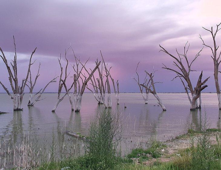 Barmera, South Australia