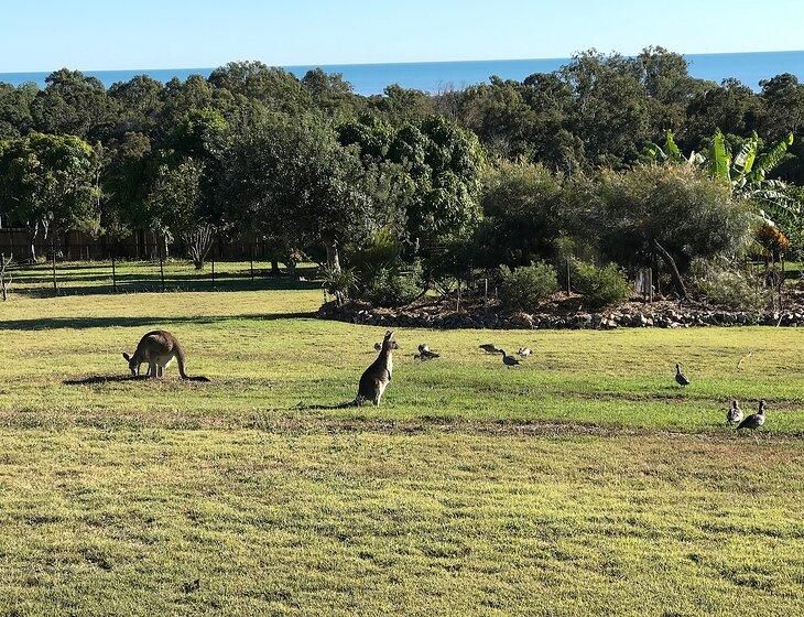 Craignish, Queensland - Image 3