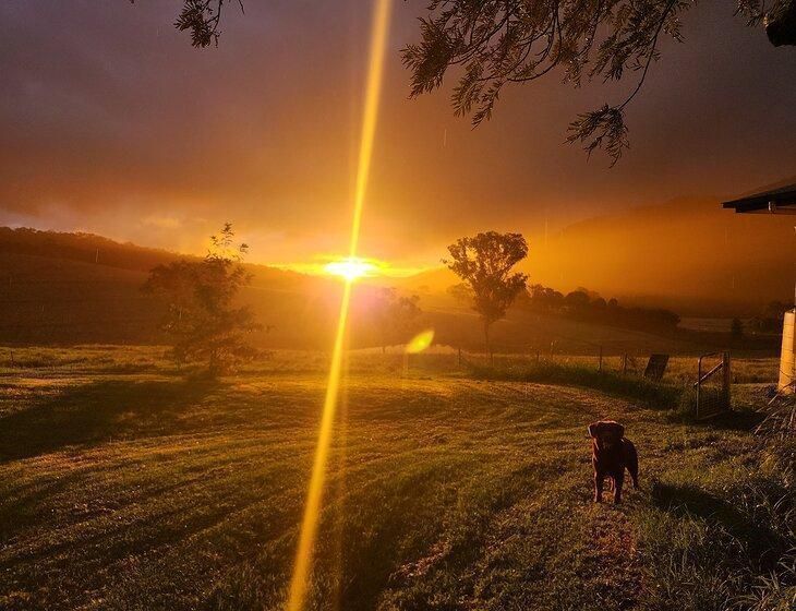 Tregony, Queensland - Image 2