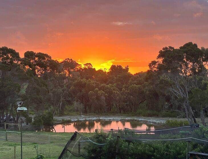 Shadforth, Western Australia - Image 2