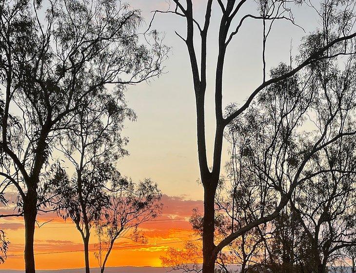 Regency Downs, Queensland