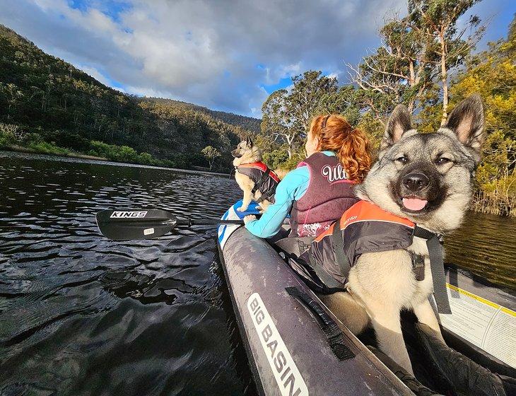 Lachlan, Tasmania