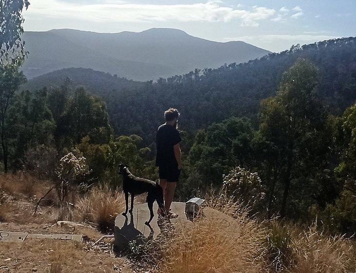 Lachlan, Tasmania