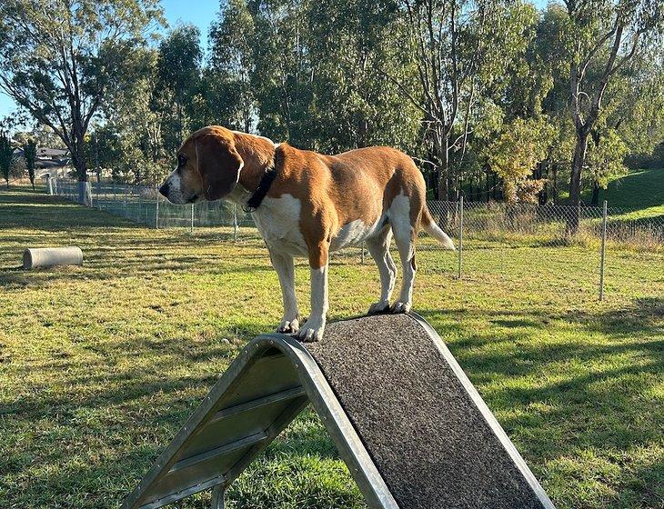 Cootamundra, New South Wales