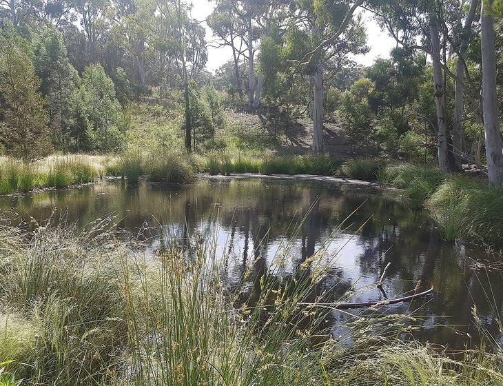 Lower Boro, New South Wales