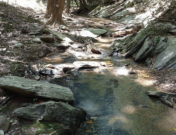 Black Mountain, Queensland
